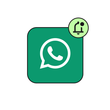 WhatsApp campaigns