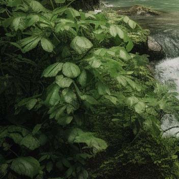 Magnific AIの画面